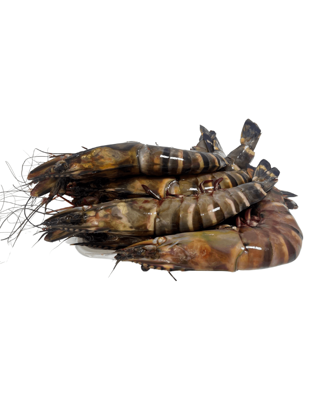 Prawns (Jumbo)